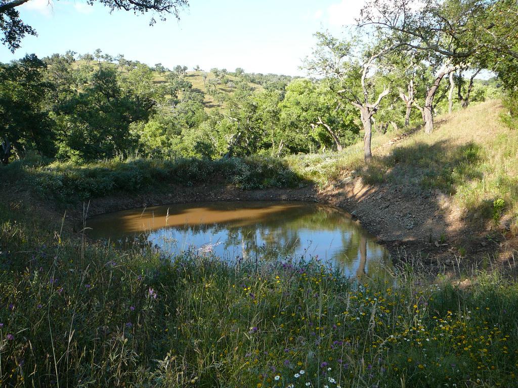 Monte Da Ameira Roncão المظهر الخارجي الصورة