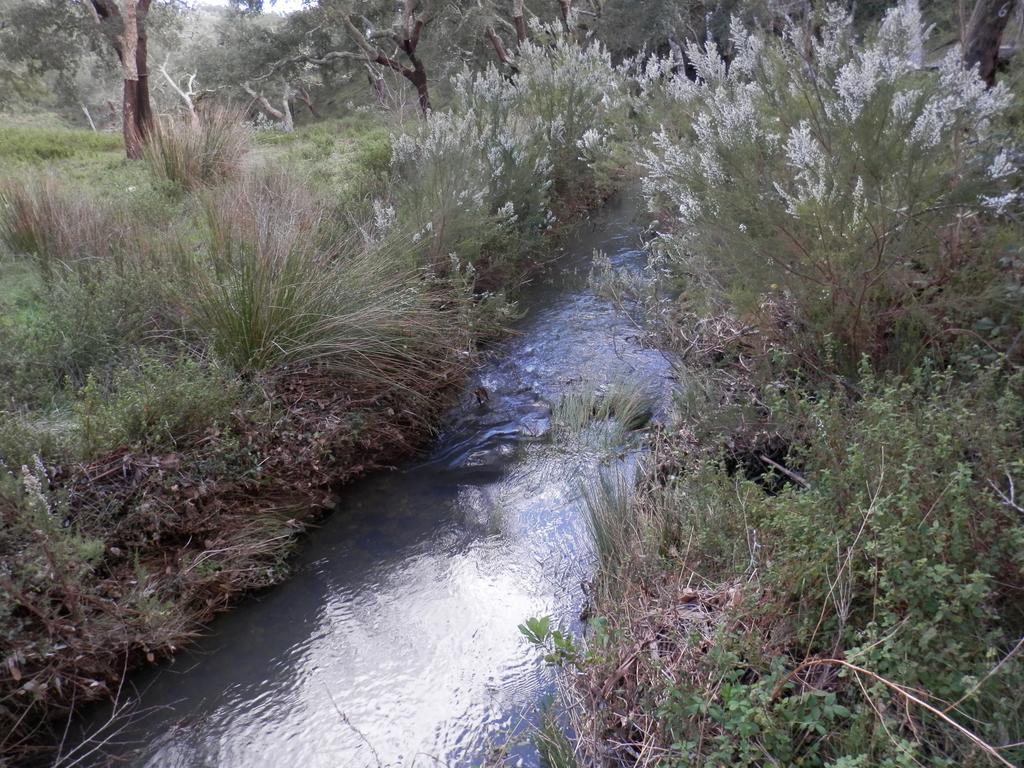 Monte Da Ameira Roncão المظهر الخارجي الصورة